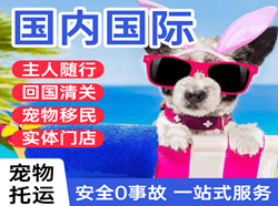 合肥新桥机场货运国际宠物托运 【国